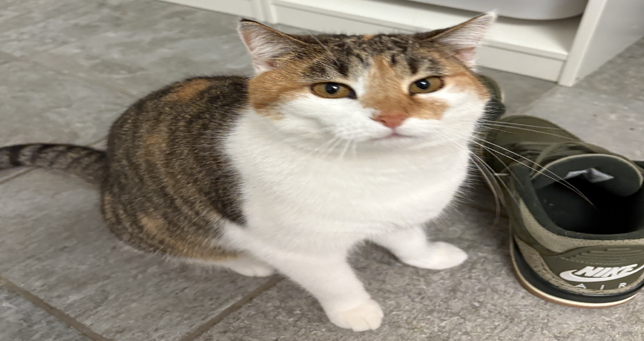Jane